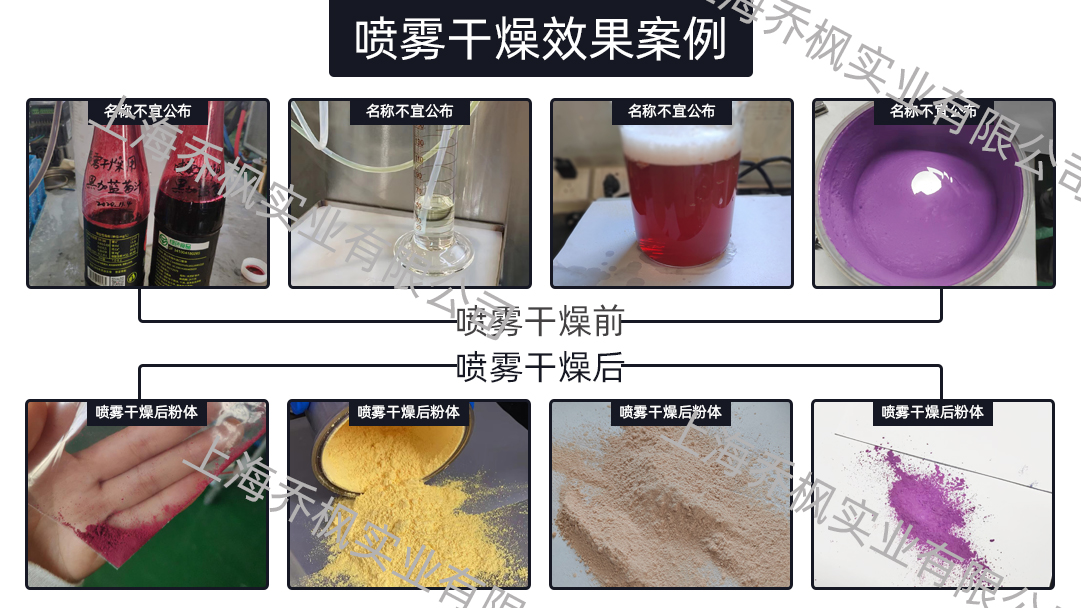 益生菌低溫噴霧干燥機(jī)